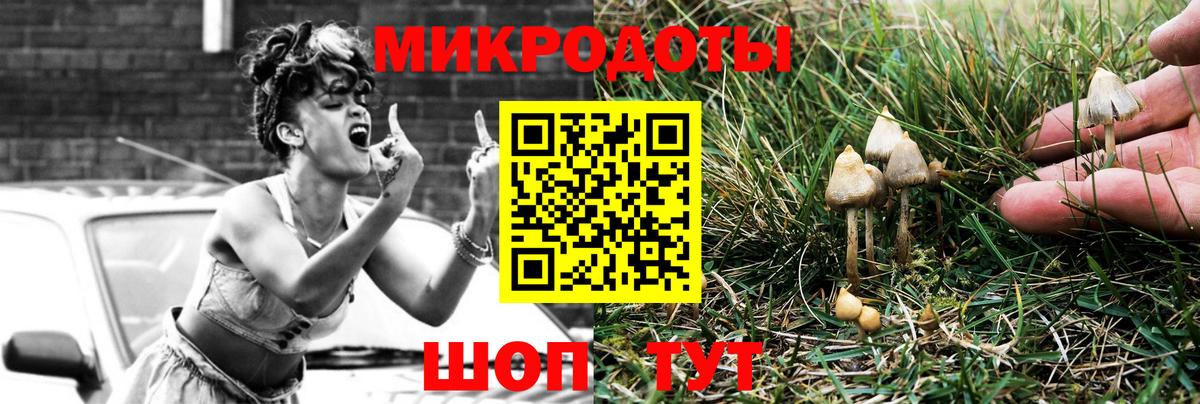 Михайловка  Галлюциногенные грибы MAGIC MUSHROOMS  Псилоцибиновые грибы прущие грибы  Вход с VPN 